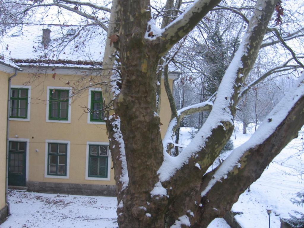 Mater Salvatoris House 호텔 Gödöllő 외부 사진